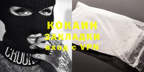 молекула духа Осташков