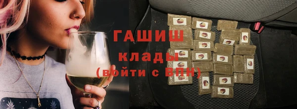 молекула духа Осташков