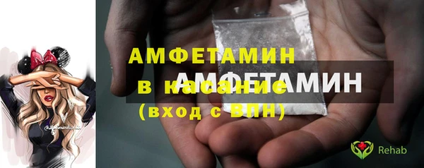 молекула духа Осташков