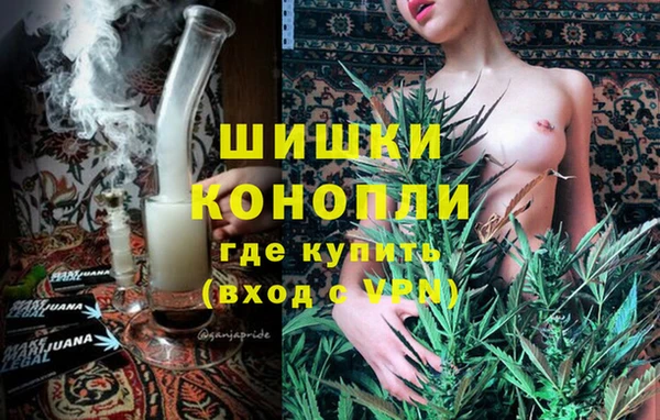 молекула духа Осташков