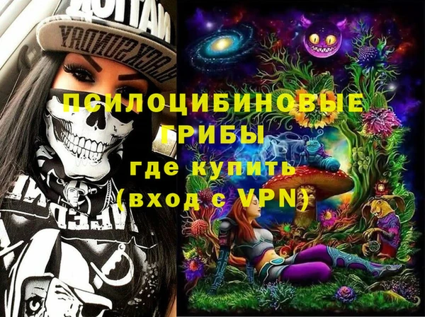 молекула духа Осташков