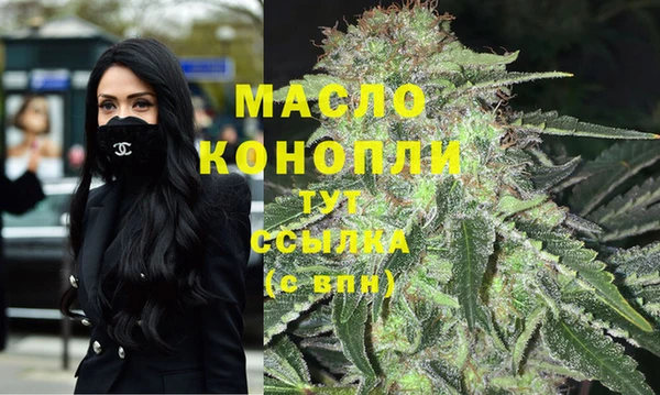 молекула духа Осташков