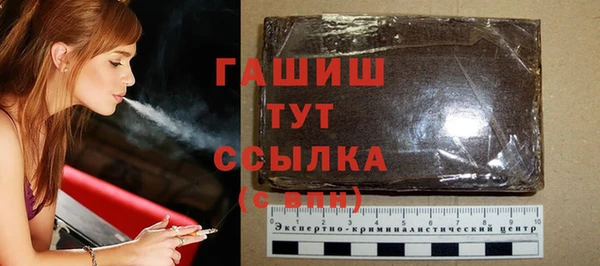 молекула духа Осташков