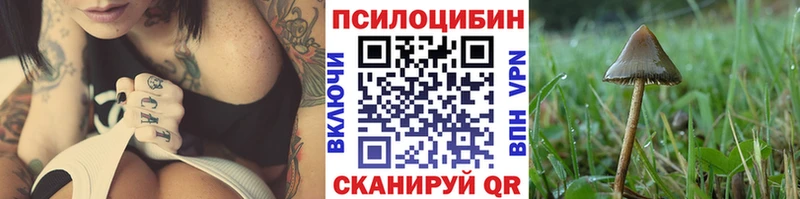 Псилоцибиновые грибы Cubensis  Приморско-Ахтарск 